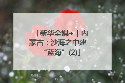 新华全媒+｜内蒙古：沙海之中建“蓝海”(2)