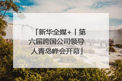 新华全媒+丨第六届跨国公司领导人青岛峰会开幕