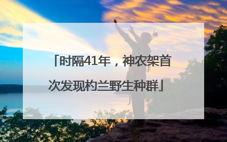 时隔41年，神农架首次发现杓兰野生种群