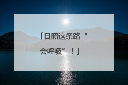 日照这条路“会呼吸”！