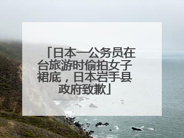 日本一公务员在台旅游时偷拍女子裙底，日本岩手县政府致歉