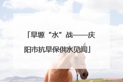 旱塬“水”战——庆阳市抗旱保供水见闻