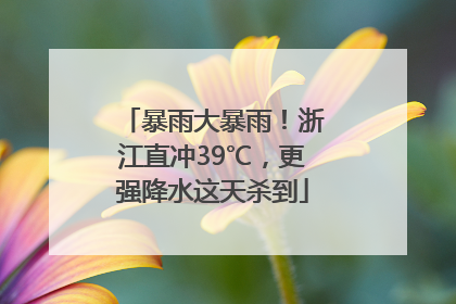暴雨大暴雨！浙江直冲39℃，更强降水这天杀到
