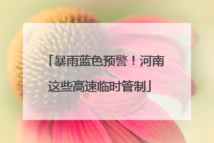 暴雨蓝色预警！河南这些高速临时管制