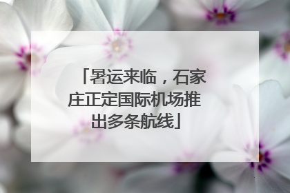 暑运来临，石家庄正定国际机场推出多条航线