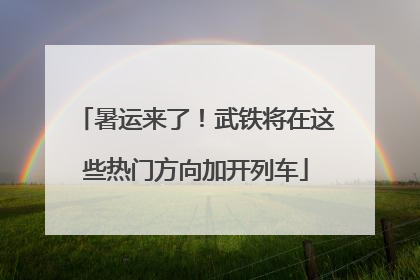 暑运来了！武铁将在这些热门方向加开列车