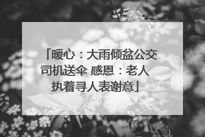 暖心：大雨倾盆公交司机送伞 感恩：老人执着寻人表谢意