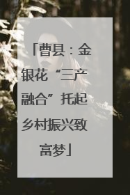 曹县：金银花“三产融合”托起乡村振兴致富梦