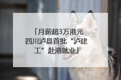 月薪超3万港元 四川泸县首批“泸建工”赴港就业
