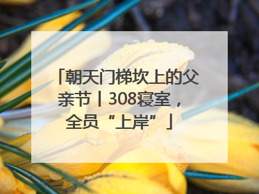 朝天门梯坎上的父亲节丨308寝室，全员“上岸”