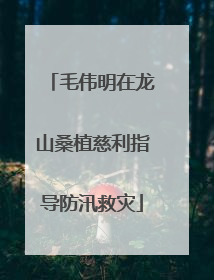 毛伟明在龙山桑植慈利指导防汛救灾