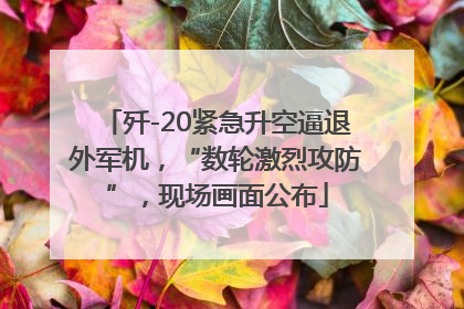 歼-20紧急升空逼退外军机，“数轮激烈攻防”，现场画面公布