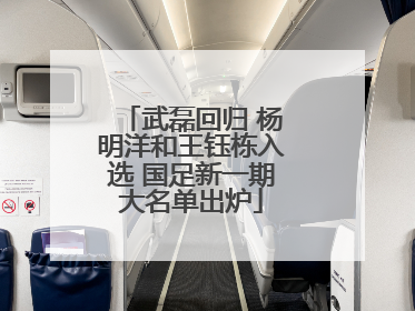 武磊回归 杨明洋和王钰栋入选 国足新一期大名单出炉