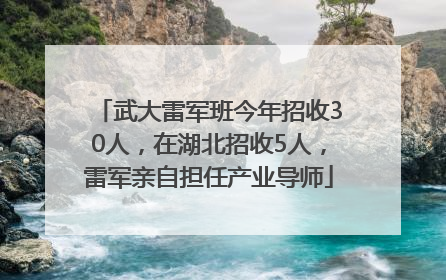 武大雷军班今年招收30人，在湖北招收5人，雷军亲自担任产业导师