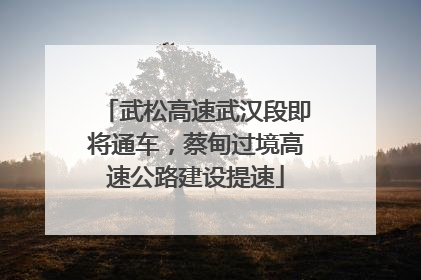武松高速武汉段即将通车，蔡甸过境高速公路建设提速