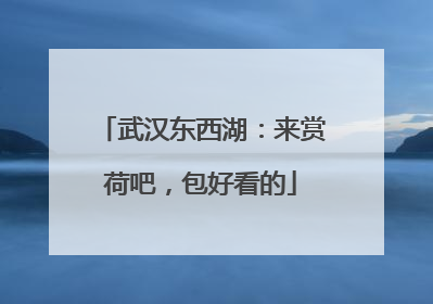 武汉东西湖：来赏荷吧，包好看的