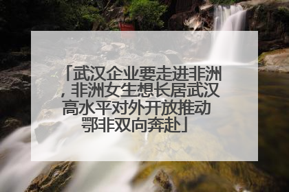 武汉企业要走进非洲，非洲女生想长居武汉 高水平对外开放推动鄂非双向奔赴