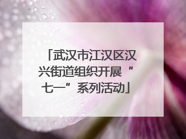 武汉市江汉区汉兴街道组织开展“七一”系列活动