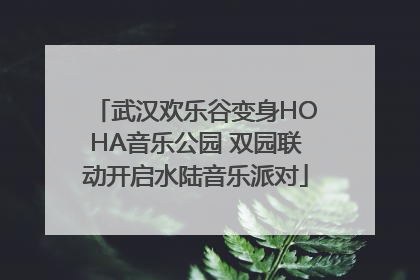 武汉欢乐谷变身HOHA音乐公园 双园联动开启水陆音乐派对