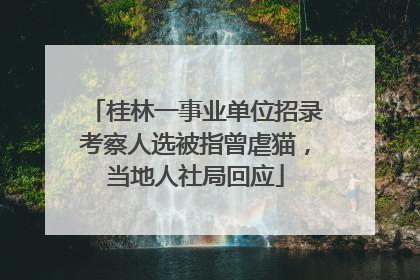 桂林一事业单位招录考察人选被指曾虐猫，当地人社局回应