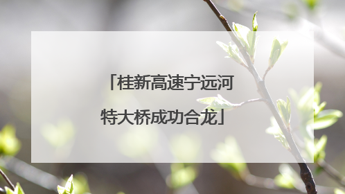 桂新高速宁远河特大桥成功合龙