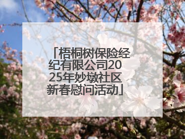 梧桐树保险经纪有限公司2025年妙墩社区新春慰问活动