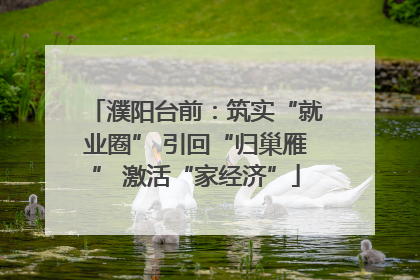 濮阳台前：筑实“就业圈” 引回“归巢雁” 激活“家经济”
