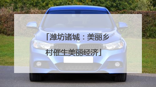 潍坊诸城：美丽乡村催生美丽经济