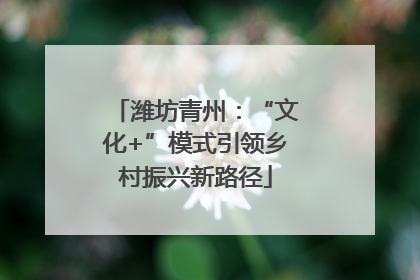 潍坊青州：“文化+”模式引领乡村振兴新路径