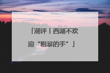 潮评丨西湖不欢迎“粗暴的手”