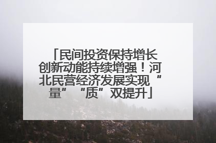民间投资保持增长 创新动能持续增强！河北民营经济发展实现“量”“质”双提升