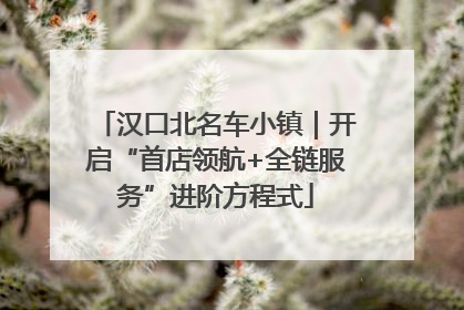 汉口北名车小镇｜开启“首店领航+全链服务”进阶方程式