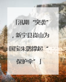 汛期“突袭”，新宁县崀山为国宝朱鹮撑起“保护伞”