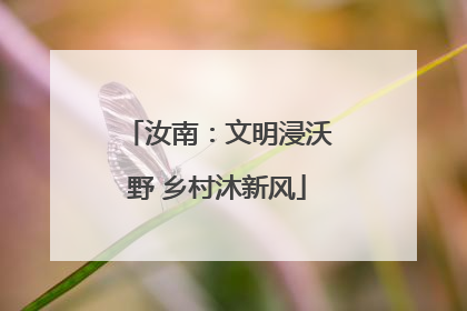 汝南：文明浸沃野 乡村沐新风