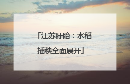 江苏盱眙：水稻插秧全面展开