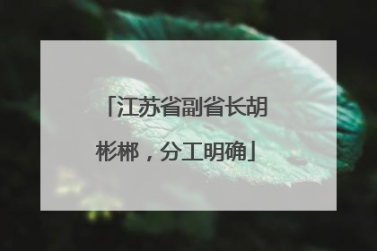 江苏省副省长胡彬郴，分工明确