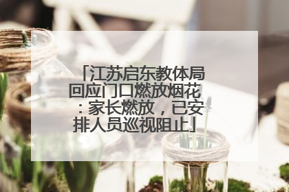江苏启东教体局回应门口燃放烟花：家长燃放，已安排人员巡视阻止
