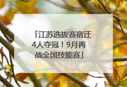 江苏选拔赛宿迁4人夺冠！9月再战全国技能赛