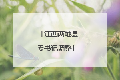 江西两地县委书记调整