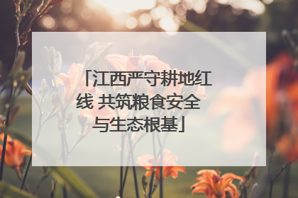 江西严守耕地红线 共筑粮食安全与生态根基