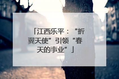 江西乐平：“折翼天使”引领“春天的事业”