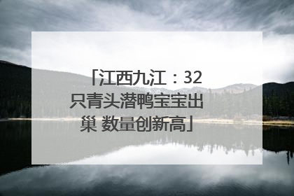 江西九江：32只青头潜鸭宝宝出巢 数量创新高