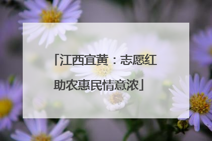 江西宜黄：志愿红助农惠民情意浓