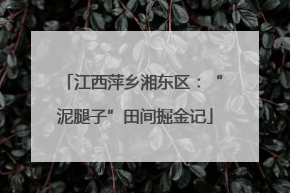 江西萍乡湘东区：“泥腿子”田间掘金记