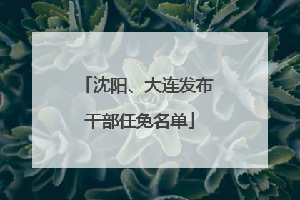 沈阳、大连发布干部任免名单