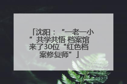 沈阳：“一老一小”共学共悟 档案馆来了30位“红色档案修复师”