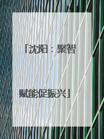 沈阳：聚智赋能促振兴