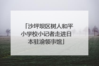 沙坪坝区树人和平小学校小记者走进日本驻渝领事馆