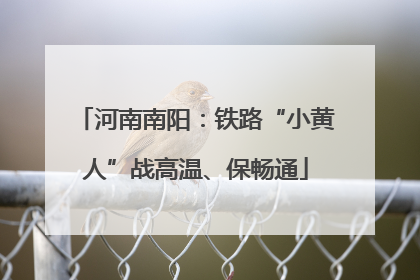 河南南阳：铁路“小黄人”战高温、保畅通