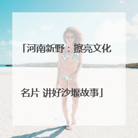 河南新野：擦亮文化名片 讲好沙堰故事